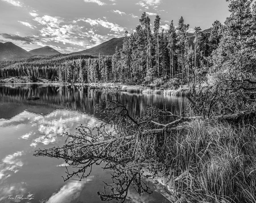 Sprague Lake, Rocky Mountain National Par Photograph by Tim Fitzharris