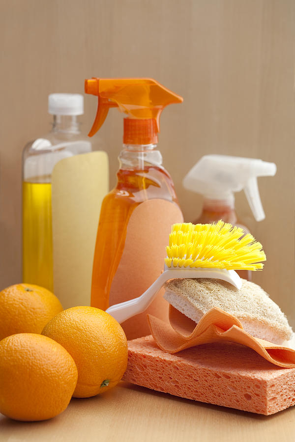 Spray bottles, sponge, scrubber and oranges Photograph by John Block