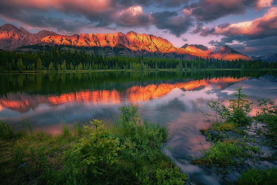 Spray Lake Sunset Photograph by Henry w Liu