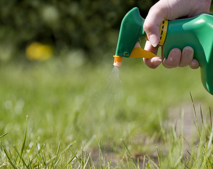 Spraying the grass Photograph by Wega52
