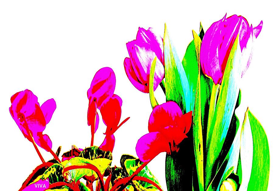 Spring Abstracted Photograph by VIVA Anderson