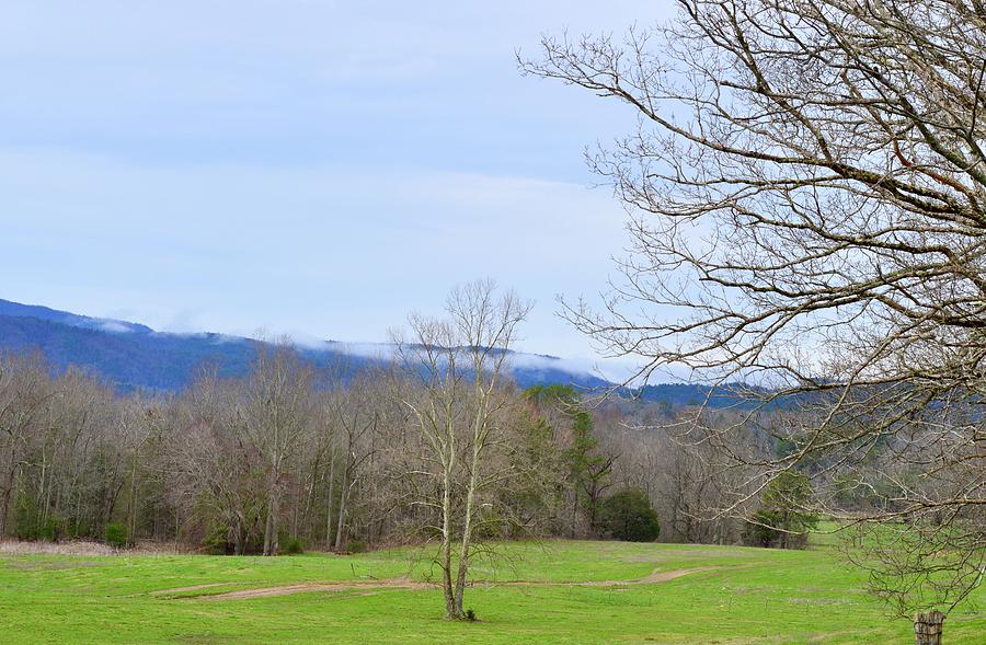 Spring Across Cades Cove Tennessee Photograph by Warren Thompson