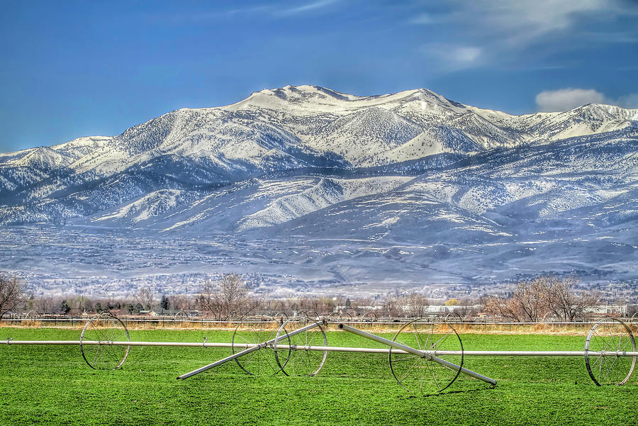 Spring Alfalfa Field Photograph by Donna Kennedy - Pixels