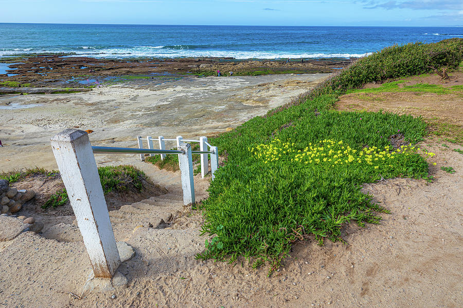 Spring Along the La Jolla Coast Photograph by Peter Tellone