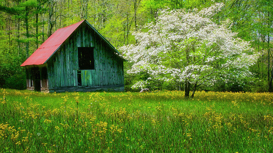 Spring And The Barn Photograph