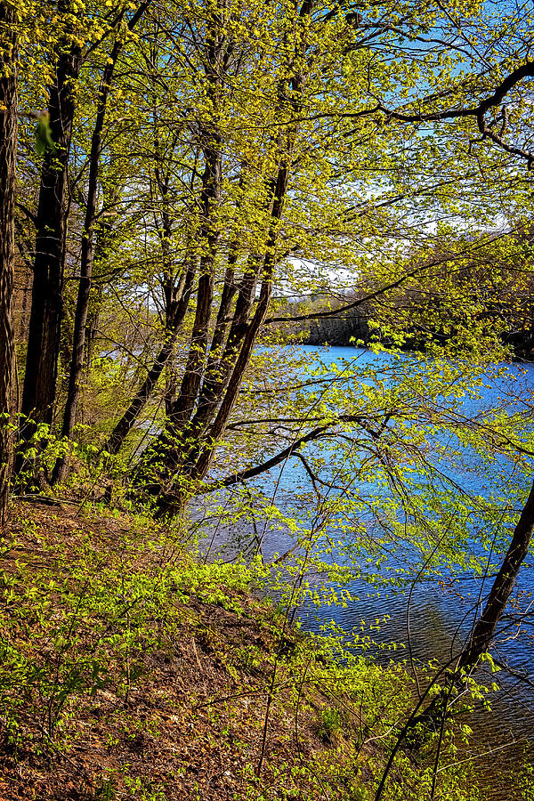 Spring And The River Photograph by Tom Singleton