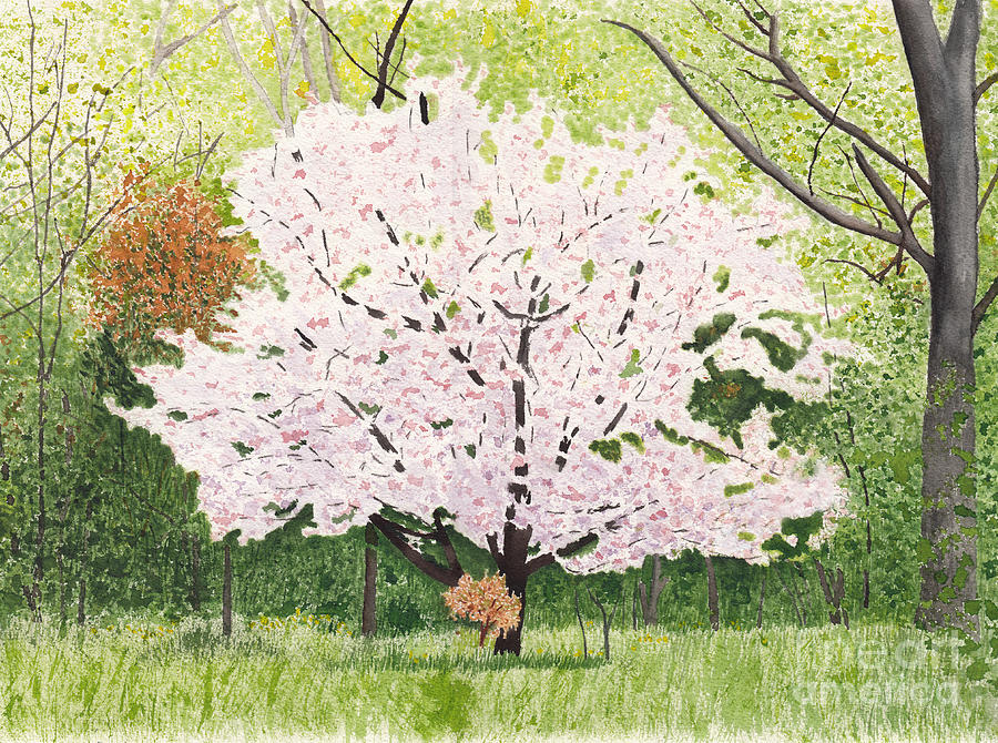 Spring Apple Blossom Tree 3 Painting by Conni Schaftenaar