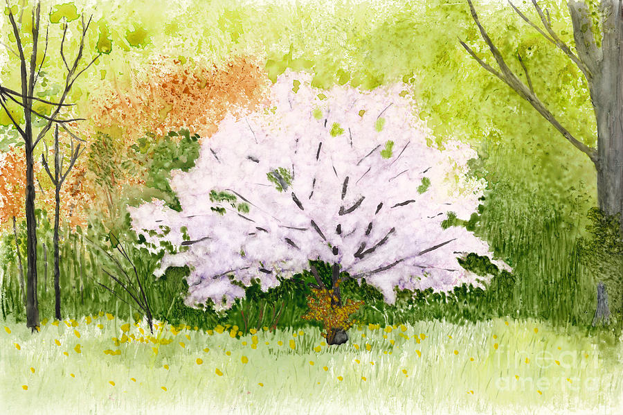 Spring Apple Blossom Tree Painting by Conni Schaftenaar