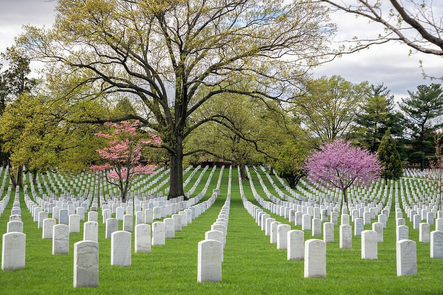 Spring at Arlington National Cemetery Photograph by Robert Carter