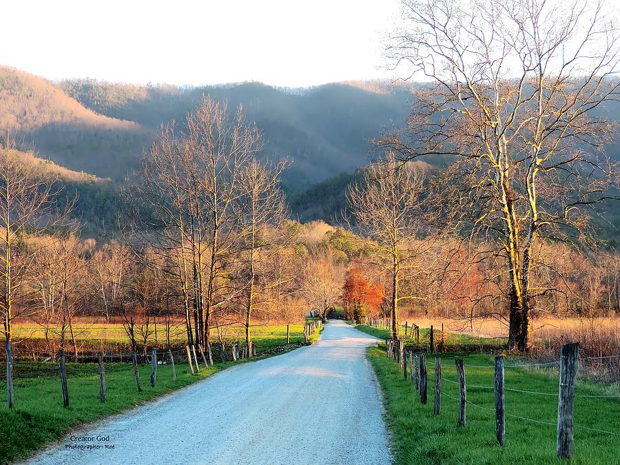 Spring At Cades Cove In The Great Smoky Mountains Photograph