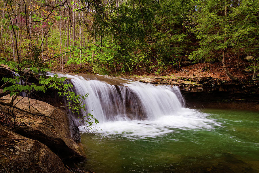 Spring at Drawdy Falls Photograph by SC Shank