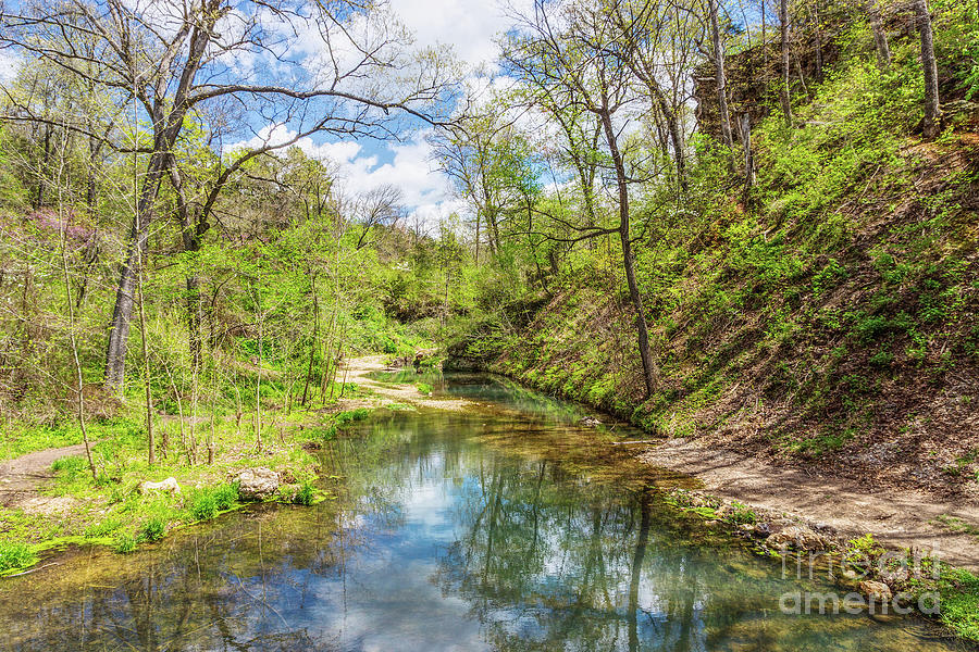 Spring At Dripping Springs Branch Photograph by Jennifer White
