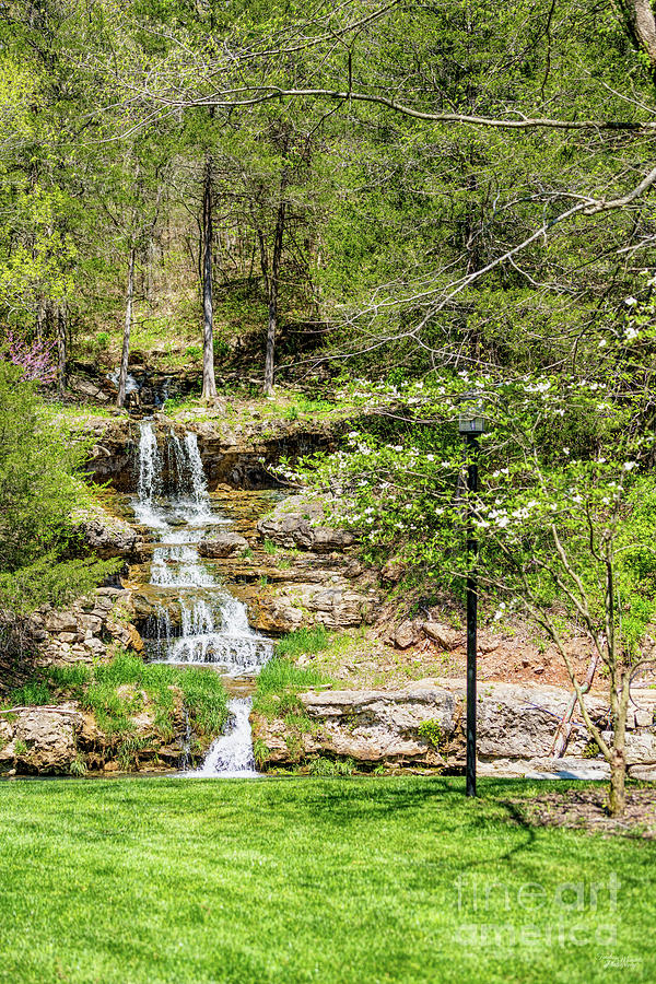 Spring At Hope Wilderness Falls Photograph by Jennifer White