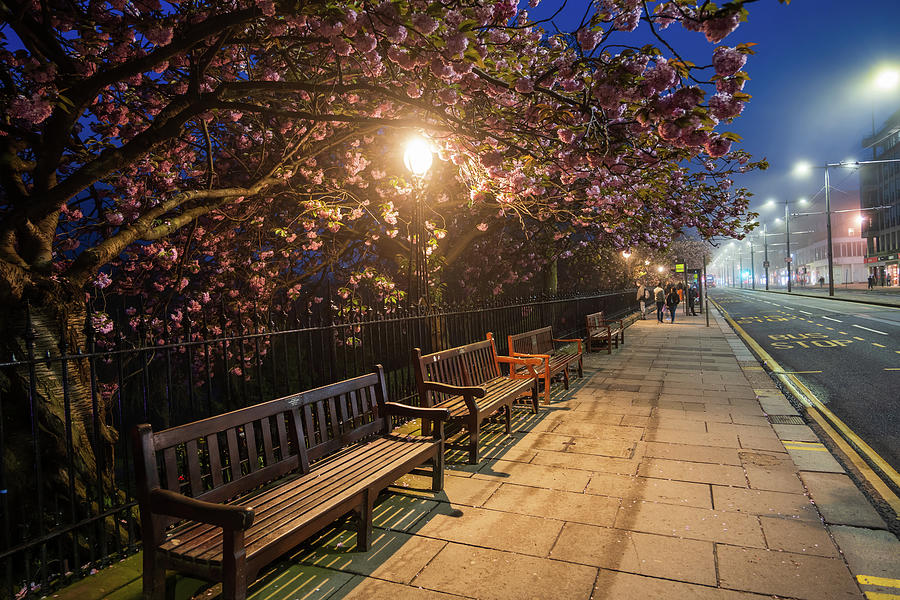 Spring At Princes St Sidewalk In Edinburgh At Night Photograph by Artur Bogacki