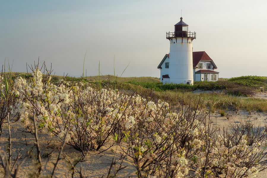 Spring at Race Point Light Photograph by Kristen Wilkinson