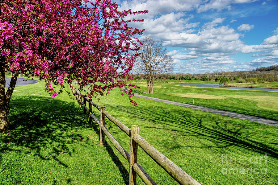 Spring At Rivercut Photograph by Jennifer White