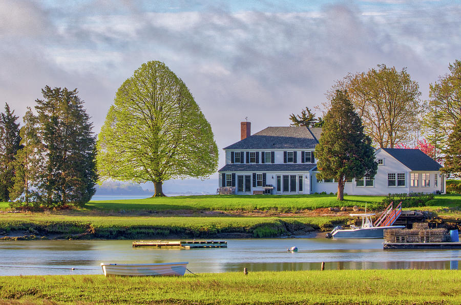 Spring at the Duxbury Perfect Tree Photograph by Juergen Roth