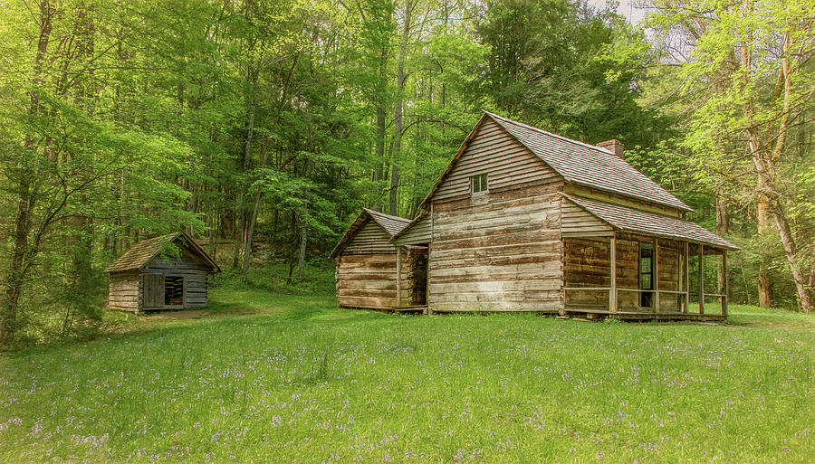 Spring at the Henry Whitehead Cabin, Cades Cove Photograph by Marcy Wielfaert