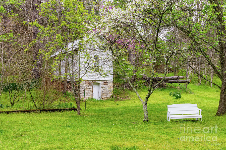 Spring At The Old Shed Photograph by Jennifer White