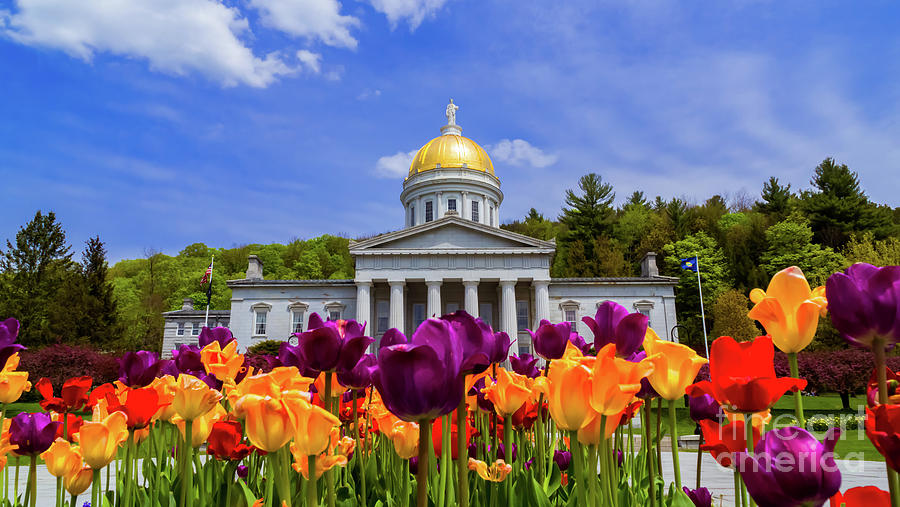 Spring at the Statehouse Photograph by Scenic Vermont Photography