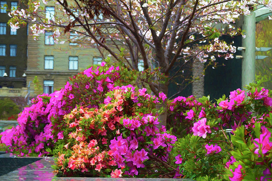 Spring Azaleas in the Park Photograph by Bonnie Follett