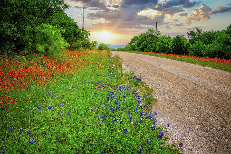 Spring Backroad Beauty Photograph by Lynn Bauer
