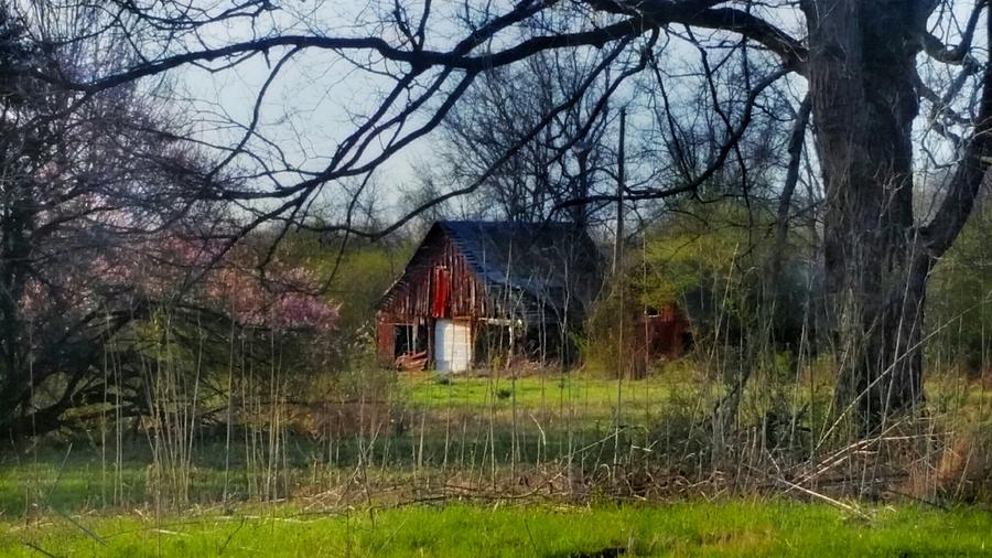 Spring Barn Photograph by Ally White