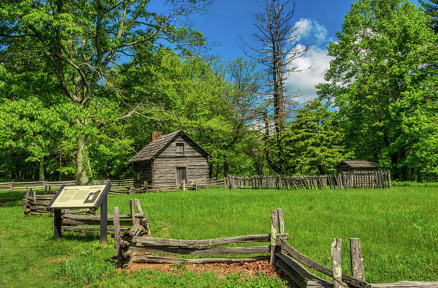 Spring Begins at Puckett Cabin in the Blue Ridge 613 Photograph by Dan Carmichael