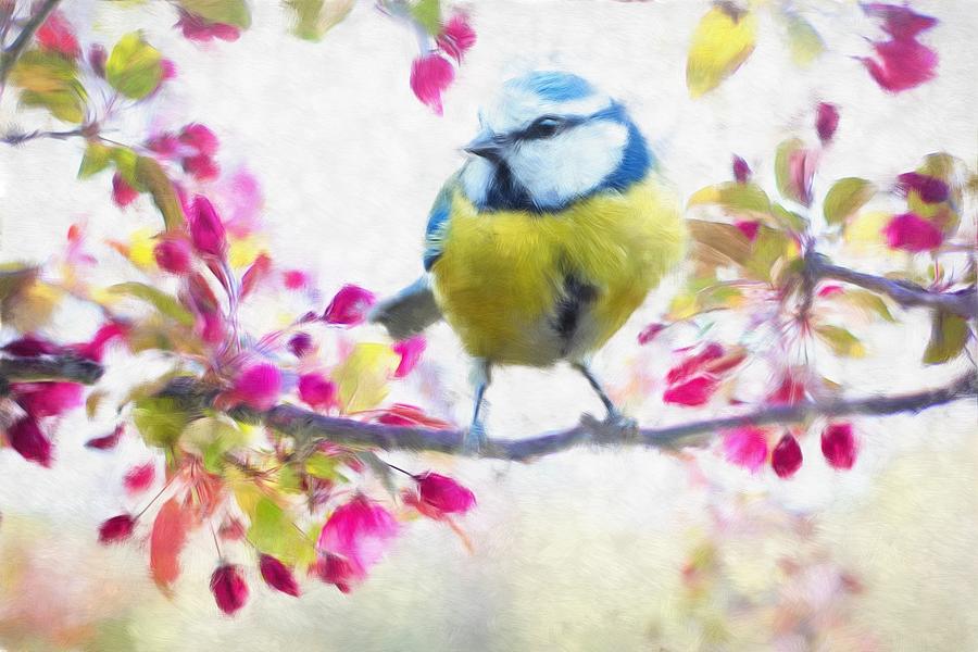 Bird Mixed Media - Spring Bird Watercolor by Julie Grace