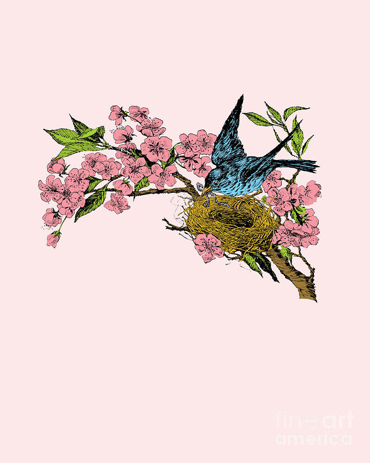 Flower Digital Art - Spring Birds by Madame Memento
