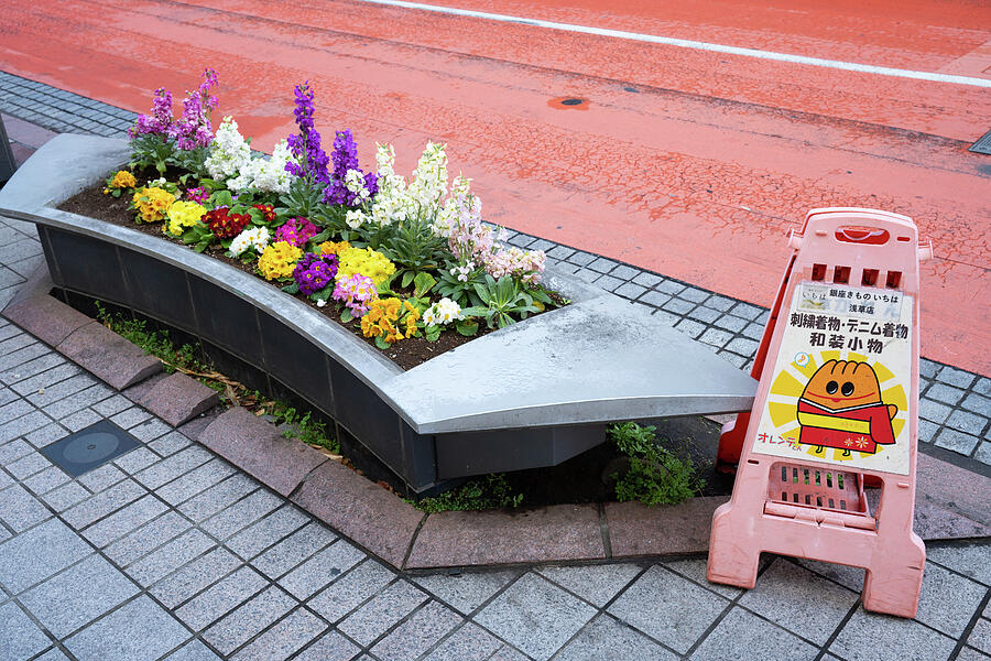 Spring Blooms and Street Signs - Tokyo Sidewalk Charm Photograph by Matthias Hauser Spring Blooms and Street Signs - Tokyo Sidewalk Charm Photograph by Matthias Hauser