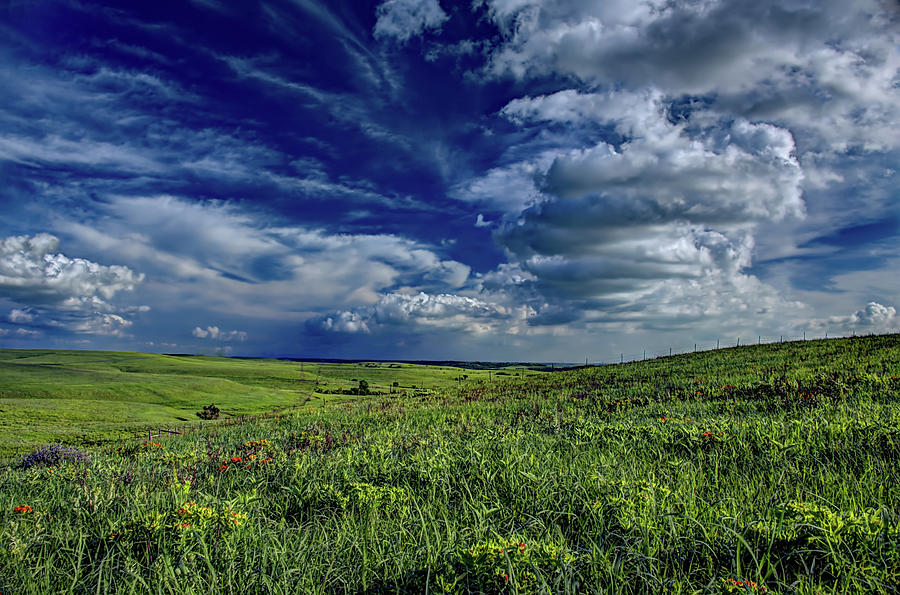Spring Blooms in the Flint Hills Photograph by Jean Hutchison