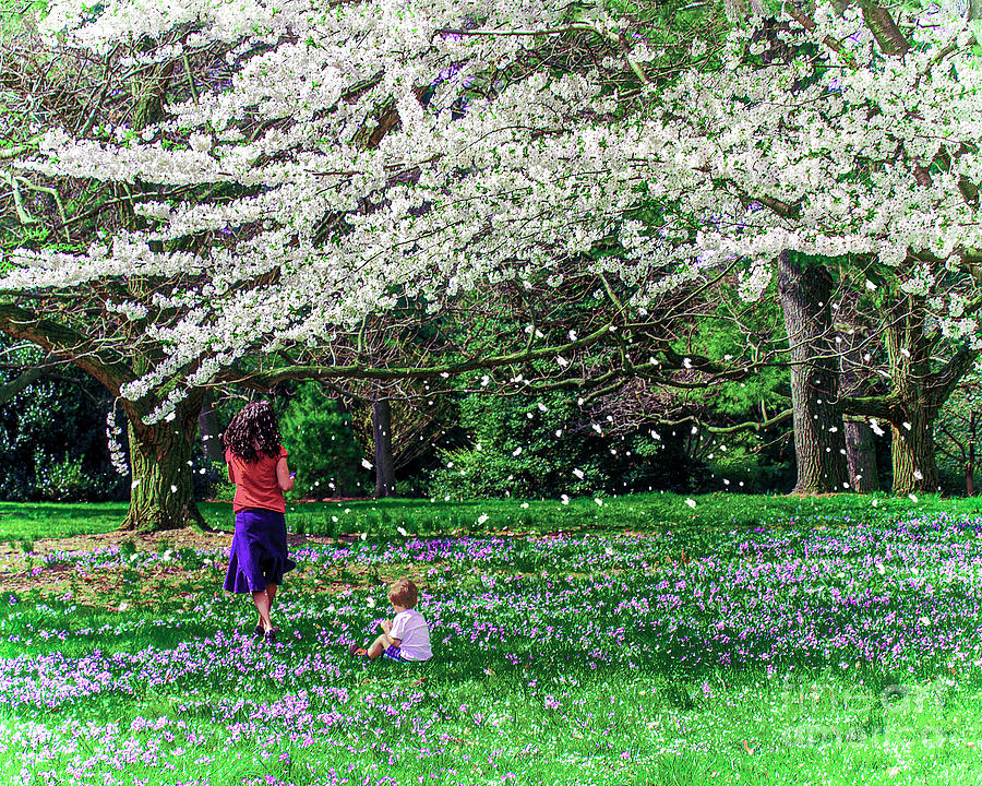 Spring Blossom Shower Digital Art by Anthony Ellis