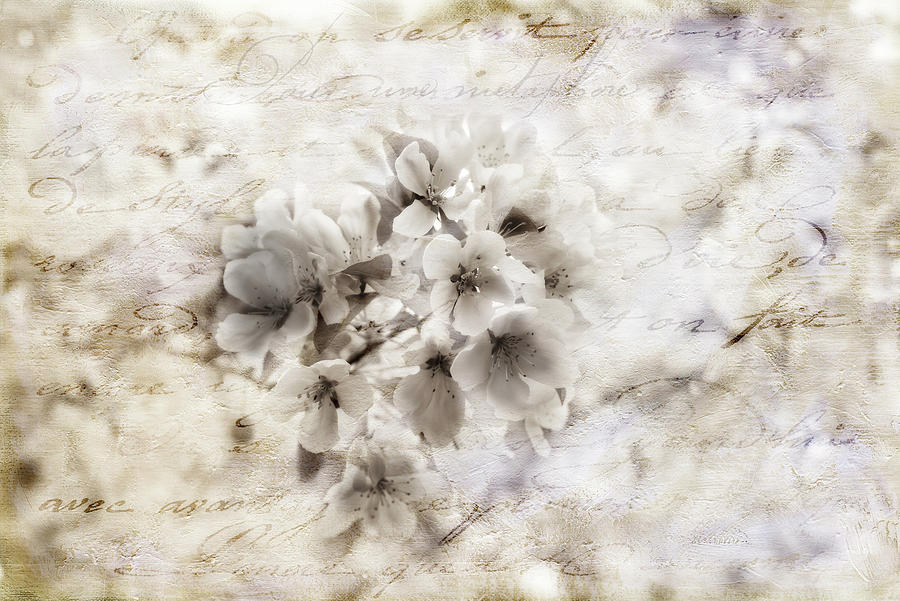 Spring Blossoms Digital Art by Melinda Dreyer
