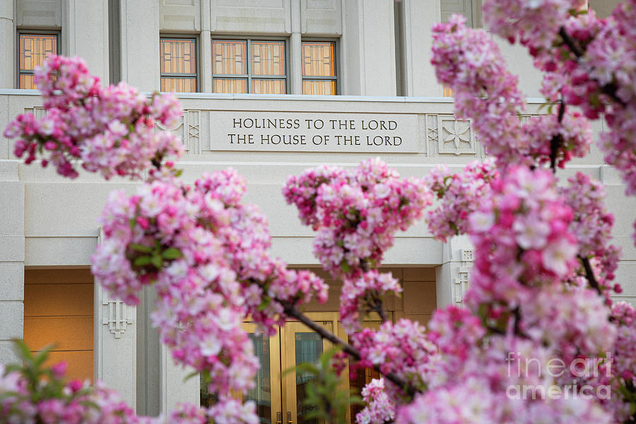 Spring Blossoms - Meridian Idaho Temple Photograph by Bret Barton