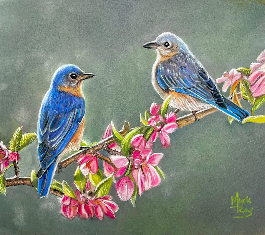 Spring Bluebirds Pastel by Mark Ray