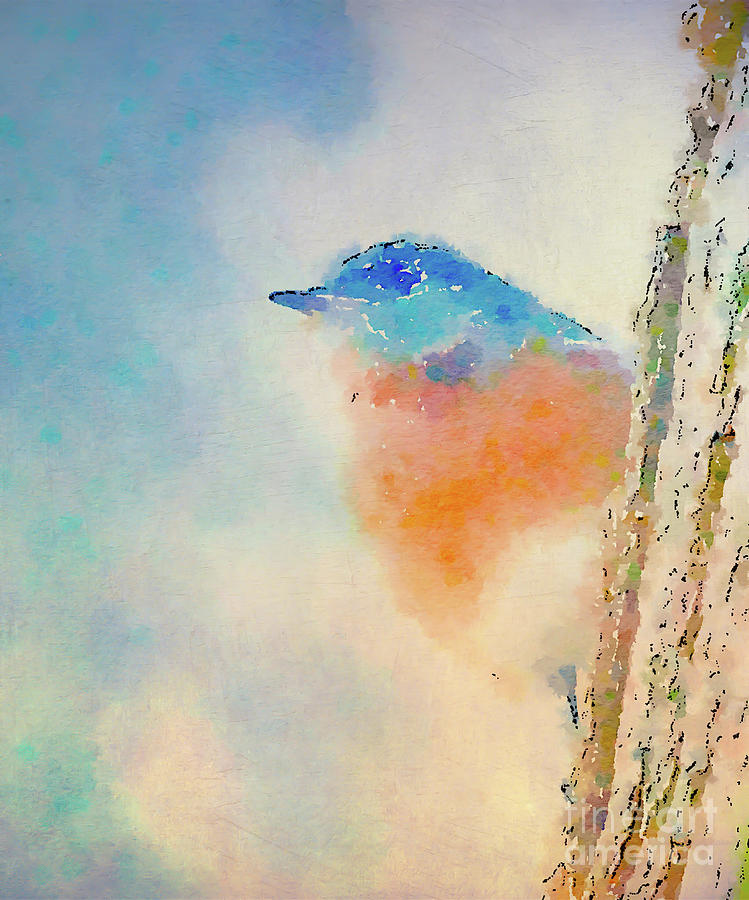 Spring Blues - Digital Watercolor Photograph by Kerri Farley