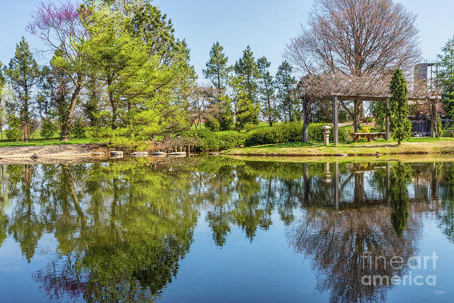 Spring Botanical Pond Reflections Photograph by Jennifer White