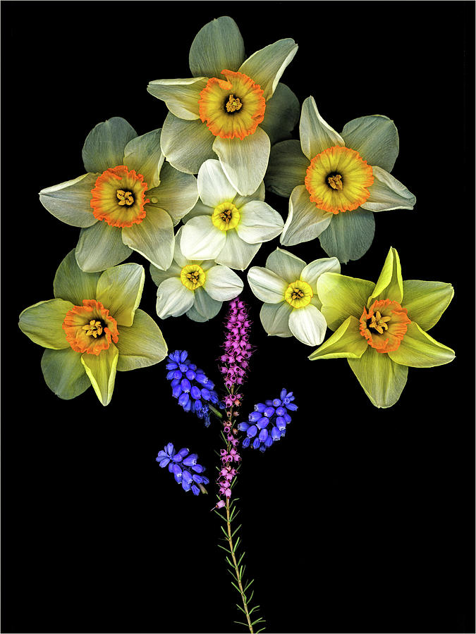 Spring Bouquet Photograph by Jean Noren