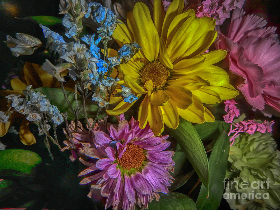 Spring Bouquet Photograph by Judy Hall-Folde