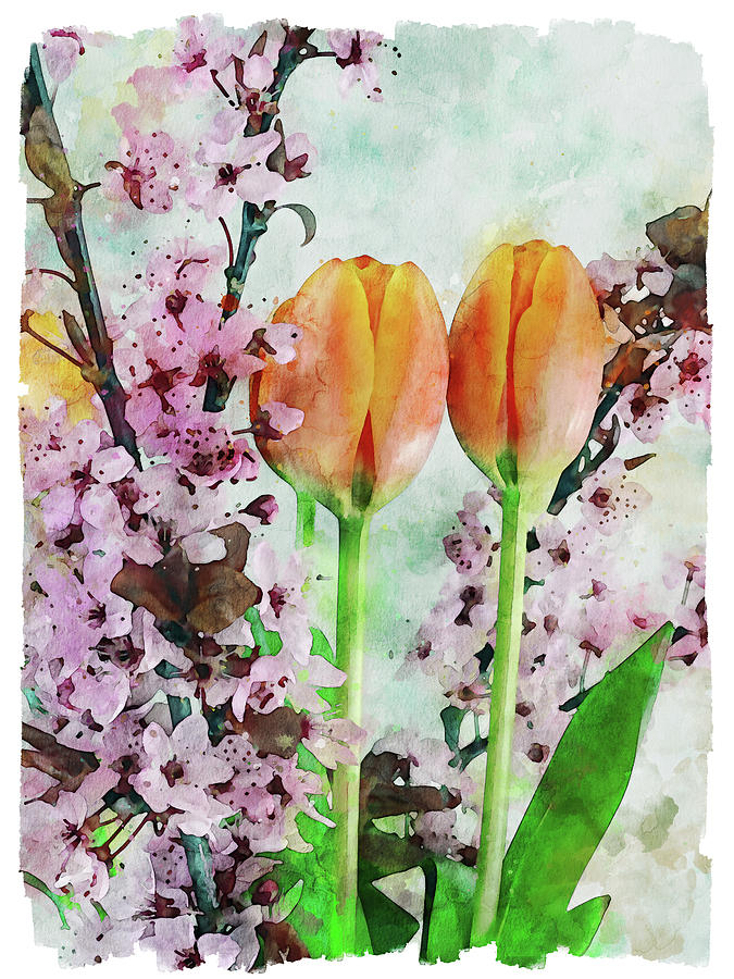 Spring Bouquet - Tulips and Plum Blossoms Photograph by Peggy Collins
