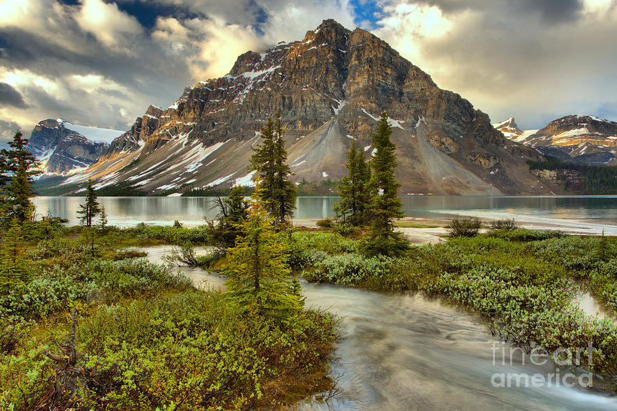 Spring Bow Lake Landscape Photograph by Adam Jewell