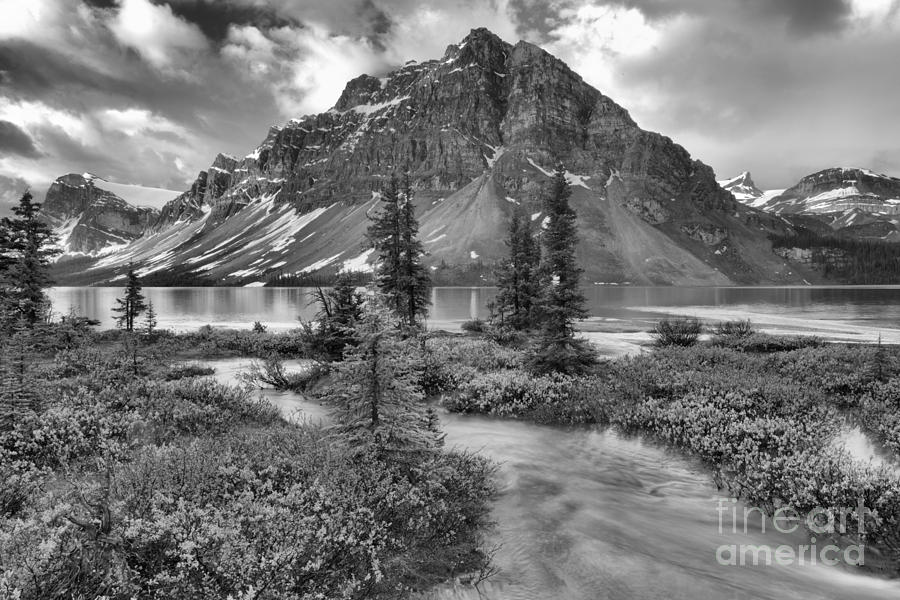 Spring Bow Lake Landscape Black And White Photograph by Adam Jewell