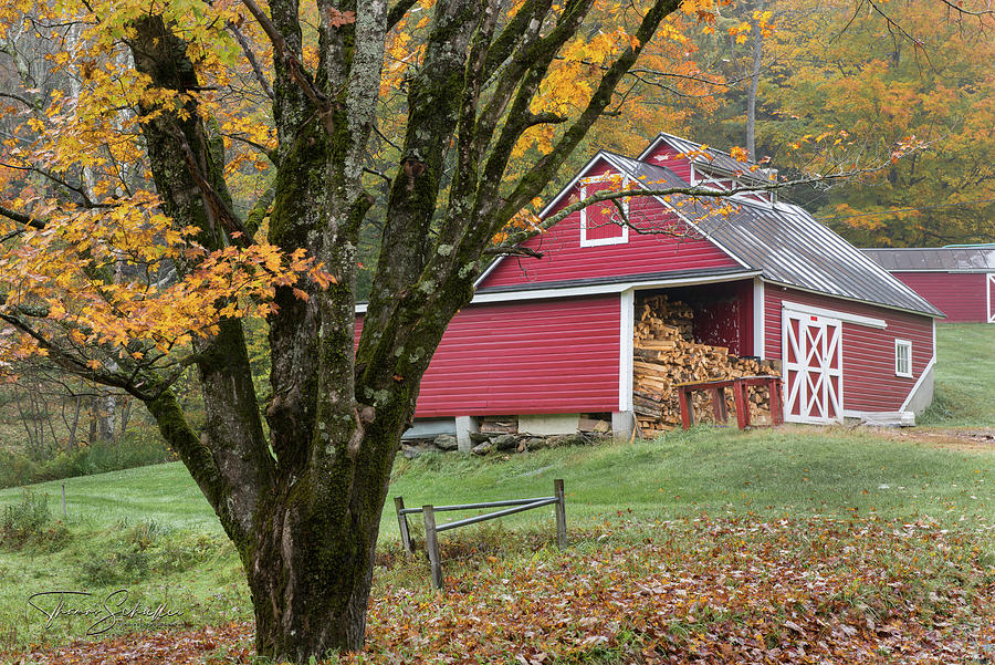 Spring Brook Sugar House - Vermont Photograph by Photos by Thom - Thomas Schoeller Photography