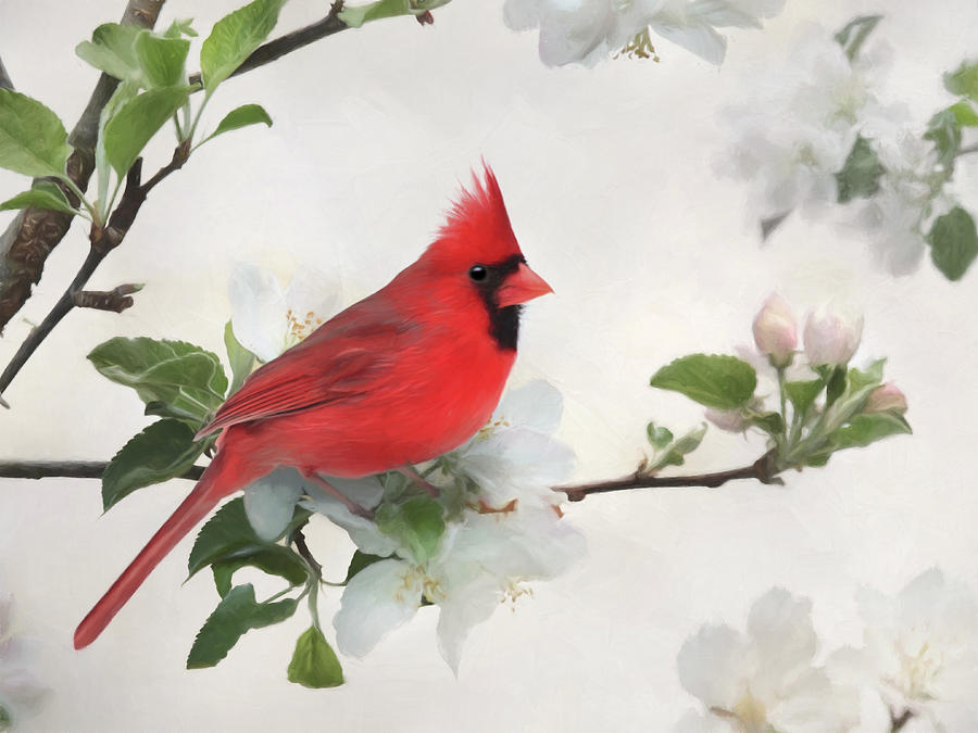 Spring Cardinal with Apple Blossoms Mixed Media by Lori Deiter