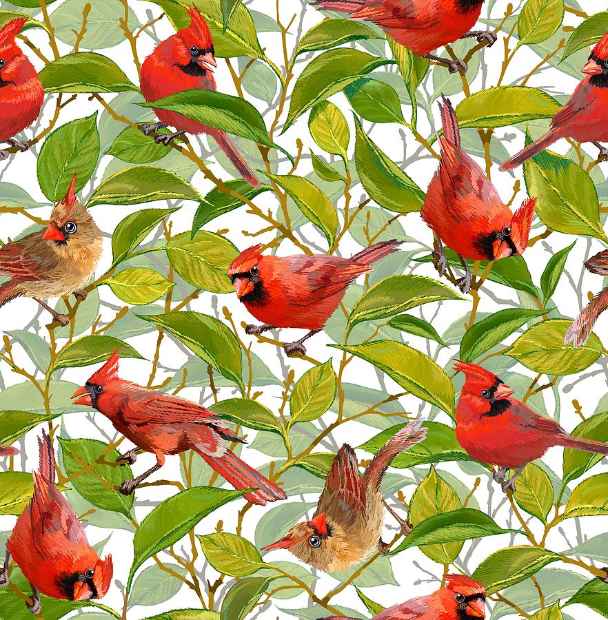 Spring Cardinals - White Drawing by L Diane Johnson