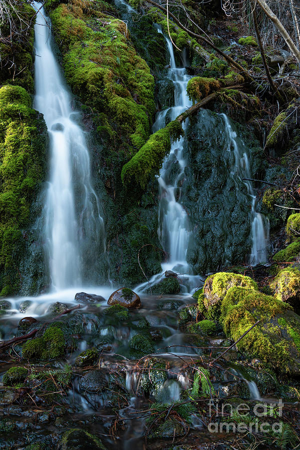 Spring Cascade Photograph by Dan Murray