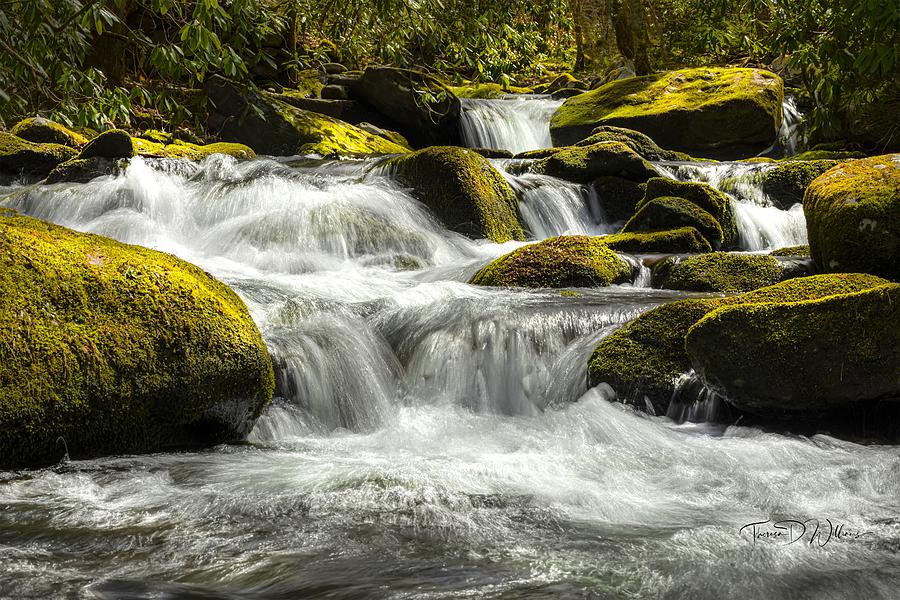 Spring Cascades in the Smokies Photograph by Theresa D Williams