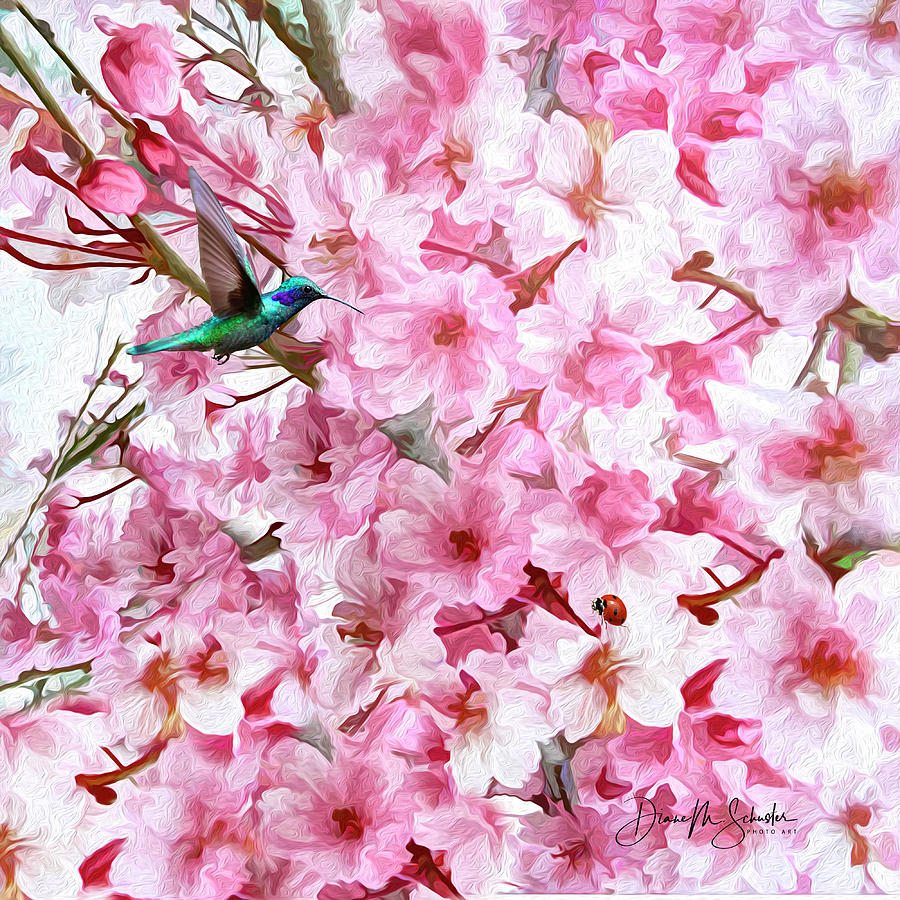 Spring Cherry Blosoms Digital Art by Diane Schuster