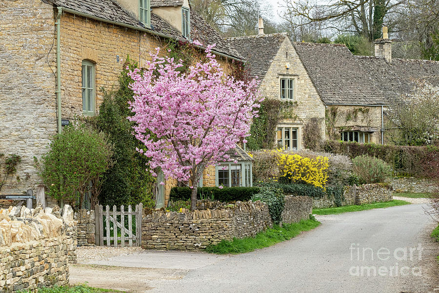 Spring Cherry Blossom in the Cotswold Village of Upper Slaughter Photograph by Tim Gainey